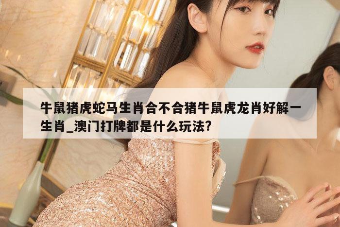 牛鼠猪虎蛇马生肖合不合猪牛鼠虎龙肖好解一生肖_澳门打牌都是什么玩法?